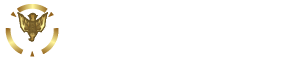 Firearms Beyond International Logo